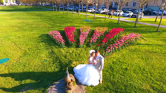 Свадьба в Новороссийске
